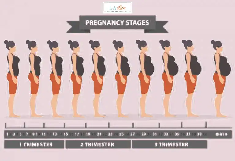 First Trimester (Weeks 1–12): Early Changes You Might Not Notice Cheadle